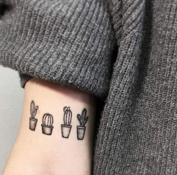 Cactus Tattoo - linha fina  Tatuagem suculenta, Tatuagem de