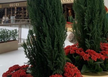 Árvores de Natal Simples