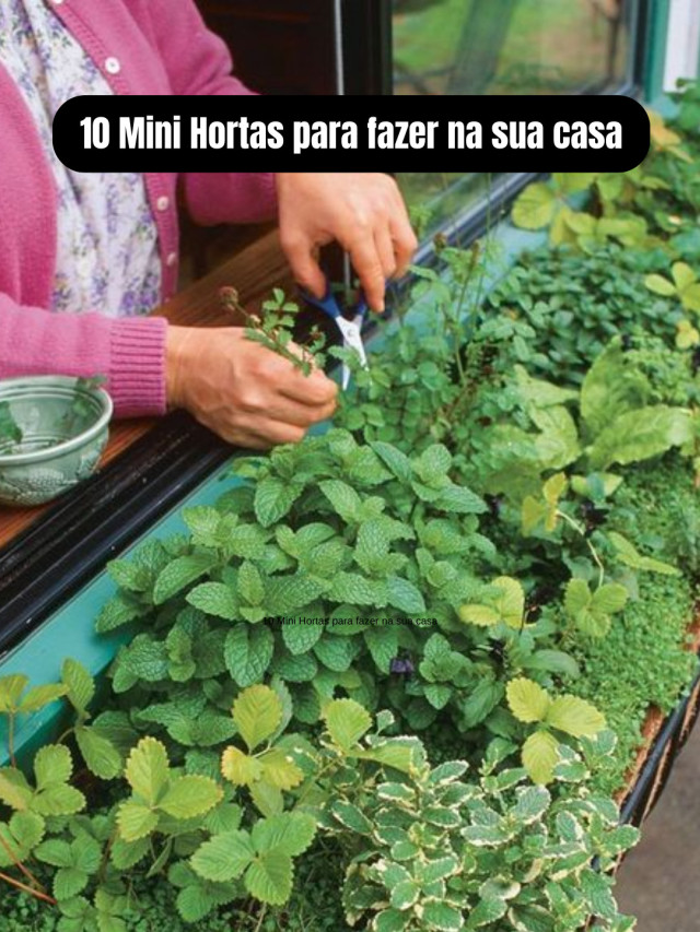 10 Mini Hortas para fazer na sua casa