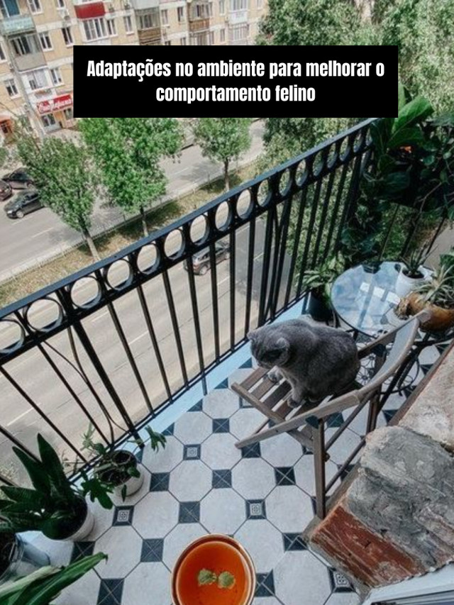 Adaptações no ambiente para melhorar o comportamento felino